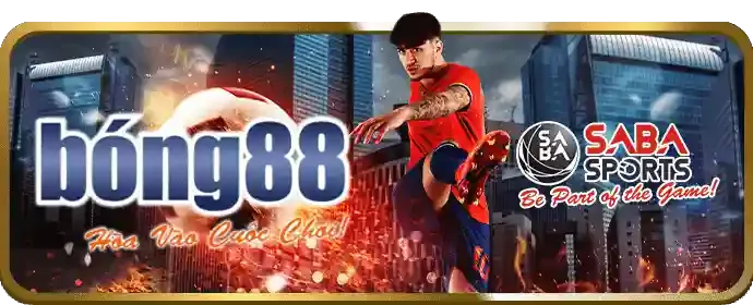 Giới thiệu nền tảng vf555 uy tín